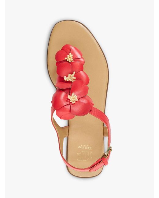 Dune Red Linaria Flower Leather Sandals