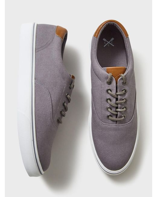 Crew Gray Oxford Canvas Trainers for men