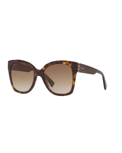 Gucci Multicolor Web Plaque Sunglasses