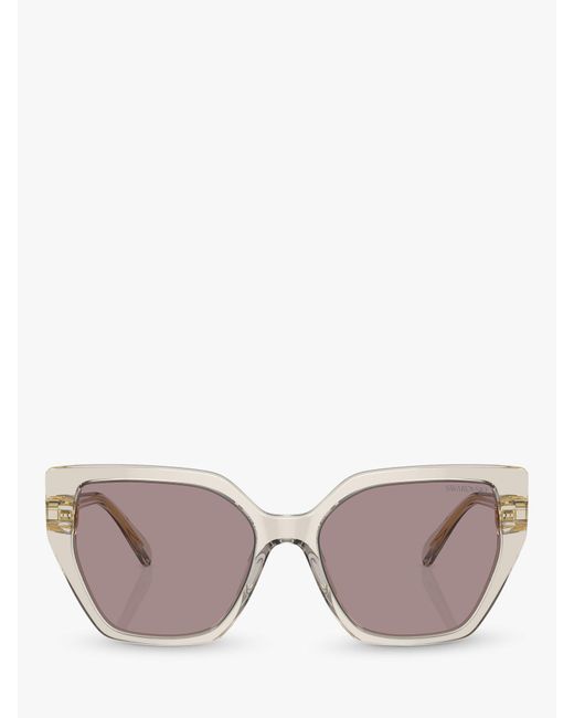 Swarovski Pink Sk6016 Irregular Sunglasses