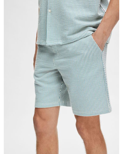 SELECTED Blue Regular Fit Stripe Shorts for men