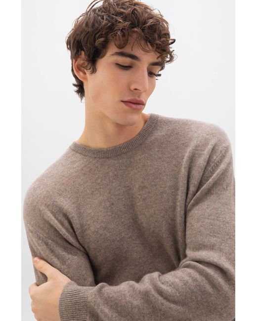 Johnstons Brown Classic Cashmere Round Neck