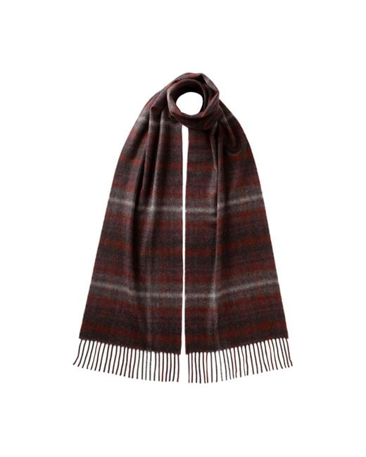 Johnstons Brown Soft Blur Check Cashmere Scarf