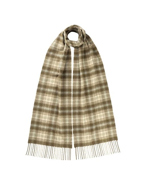 Printed Modal Cashmere Scarf in Giorgio Tweed main image 0