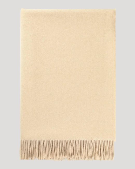 Johnstons White Plain Cashmere Throw