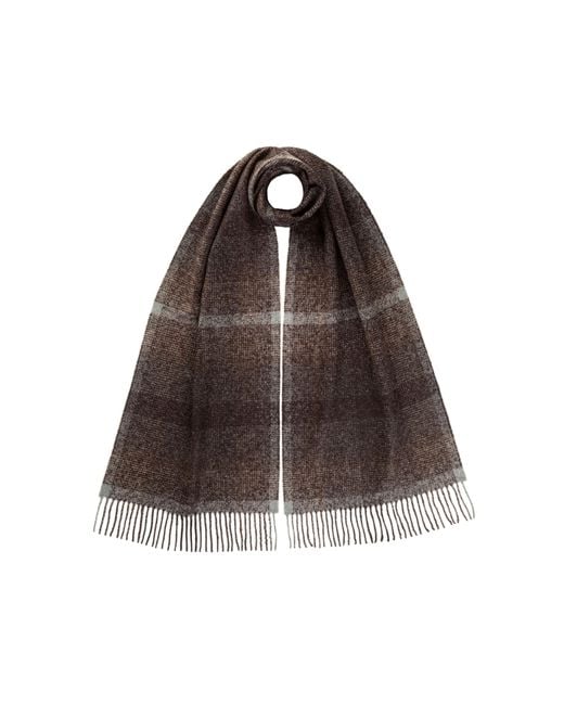 Johnstons of Elgin Cashmere Silk Blurred Check Scarf in Brown Lyst UK