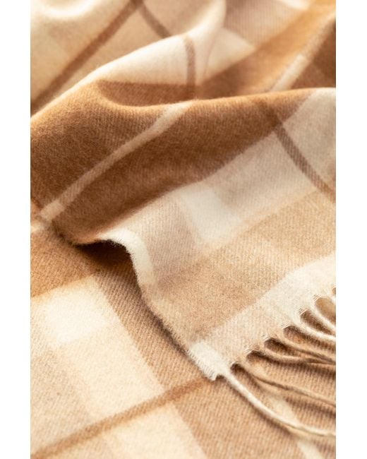 Johnstons Natural Check Cashmere & Vicuña Scarf