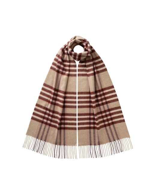 Johnstons Brown Grid Check Cashmere Scarf