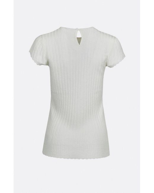 joie white top