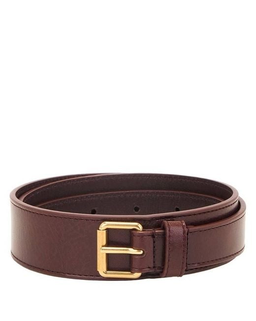 Saint Laurent Brown Tan Motorcycle 2Cm Belt for men