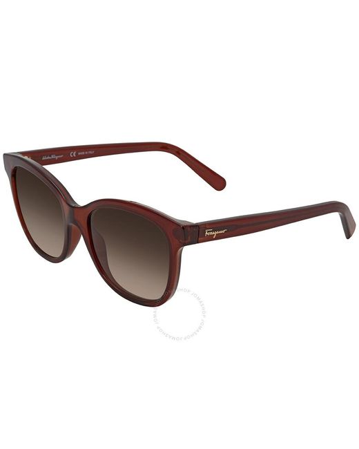 Ferragamo Brown Rectangular Sunglasses  210 55