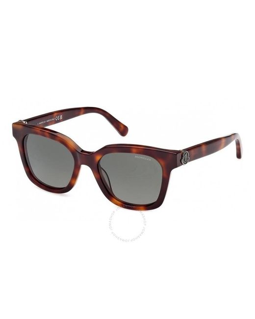 Moncler Brown Audree Green Square Sunglasses Ml0266-f 52r 50