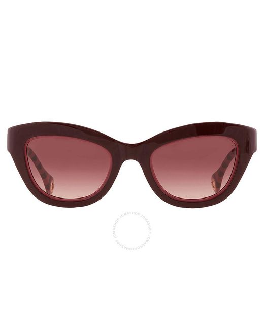 Carolina Herrera Red Burgundy Shaded Cat Eye Sunglasses Her 0086/s 00t5/3x 51