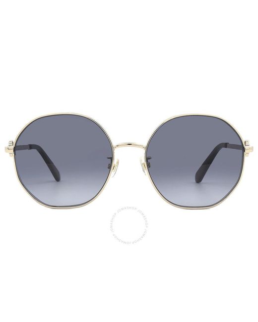 Kate Spade Blue Dark Grey Shaded Round Sunglasses Venus/f/s 0rhl/9o 56