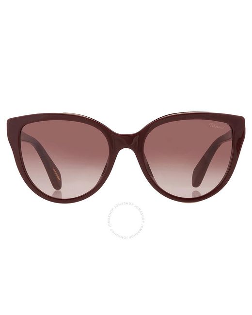 Chopard Brown Gradient Cat Eye Sunglasses Sch317s 09fh 55