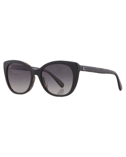 COACH Black Polarized Grey Gradient Cat Eye Sunglasses Hc8365u 5764t3 55