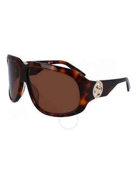 Longchamp Brown Oversized Sunglasses Lo736s 230 67