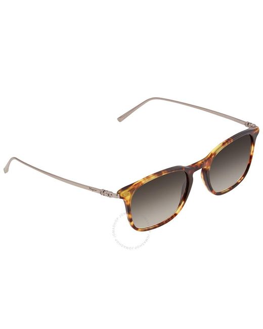 Ferragamo Brown Grey Square Sunglasses Sf2846s 219