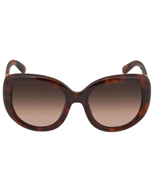 Ferragamo Brown Oval Sunglasses