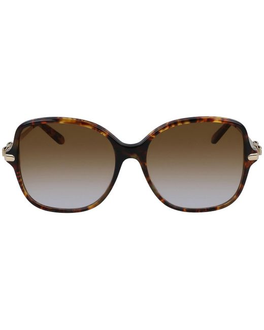 Ferragamo Black Brown Gradient Butterfly Sunglasses