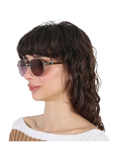Costa Del Mar Purple Egret Rose Gradient Polarized Glass Round Sunglasses 6s4005 400515 55