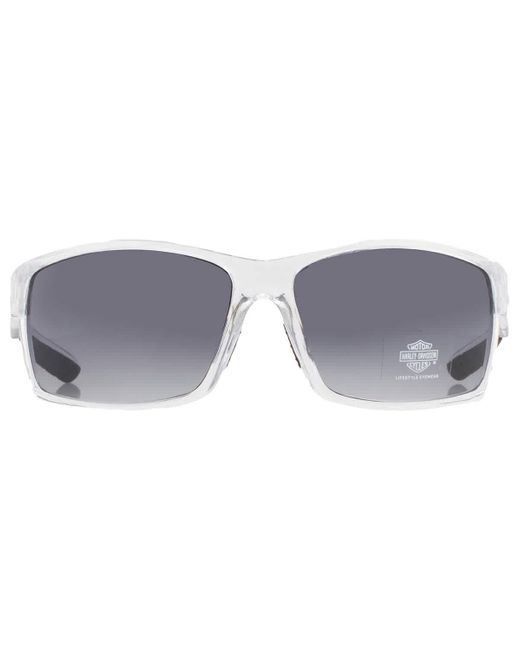 Harley davidson sale sunglasses australia