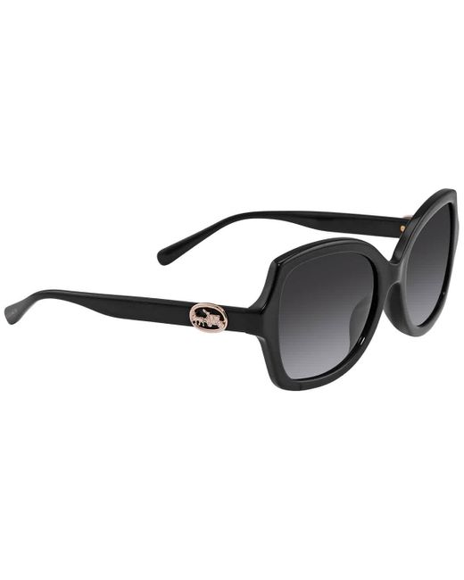 COACH Black Dark Grey Gradient Butterfly Sunglasses