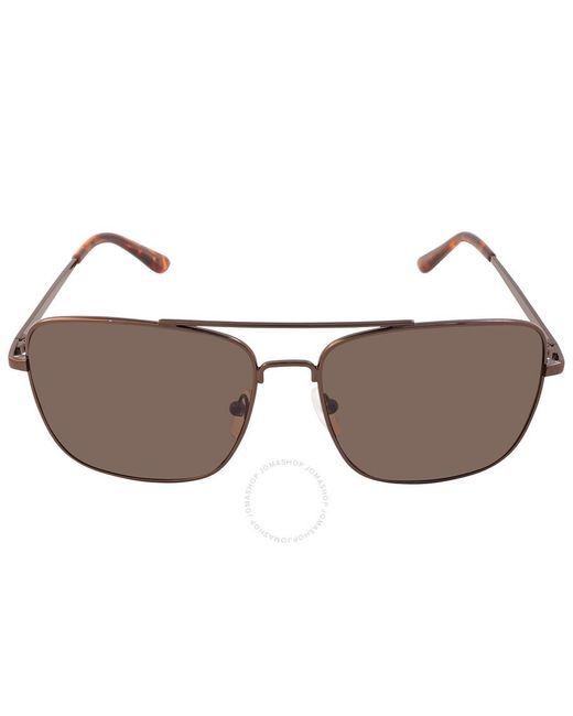 Calvin Klein Brown Navigator Sunglasses for men