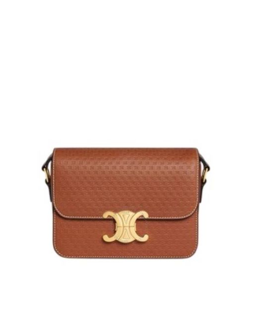 Céline Brown Triomphe Handbag