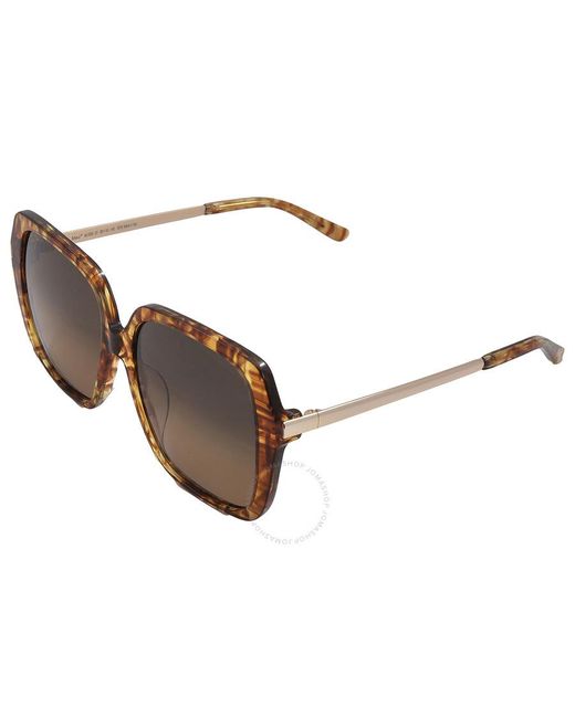 Maui Jim Brown Poolside Hcl Bronze Square Sunglasses Hs838-21 55