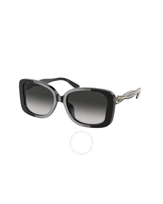 COACH Black Gradient Butterfly Sunglasses Hc8334u 50023c 53