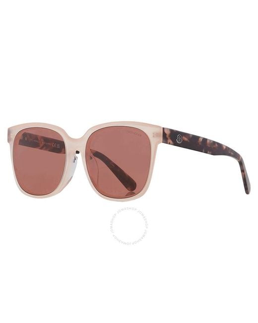 Moncler Pink Violet Square Sunglasses Ml0198-f 72y 57