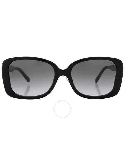 COACH Black Grey Gradient Butterfly Sunglasses Hc8334f 50023c 55 for men