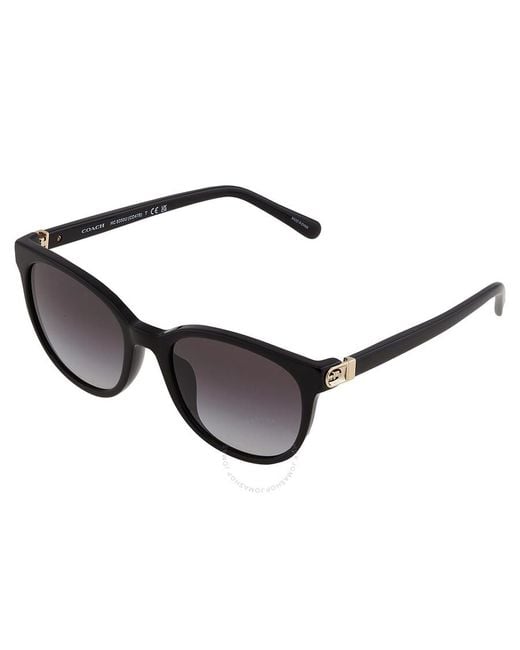 COACH Brown Grey Gradient Oval Sunglasses Hc8350u 50028g 54