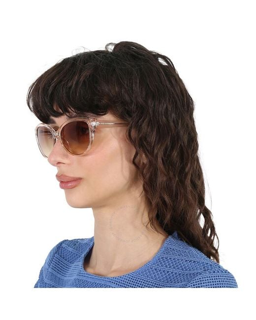 Calvin Klein Brown Cat Eye Sunglasses