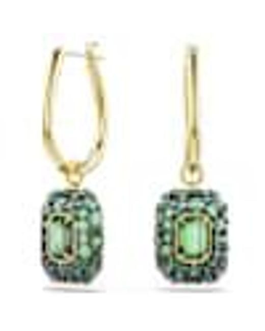Swarovski Green Sublima 18K Plated Drop Earrings for men