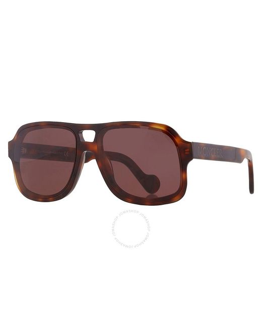 Moncler Brown Navigator Sunglasses Ml0170 52e 59 for men