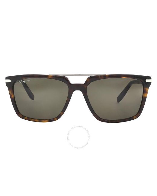 Ferragamo Metallic Brown Browline Sunglasses Sf1037s 240 57 for men