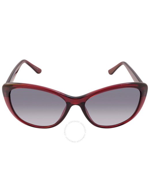 Calvin Klein Brown Grey Gradient Cat Eye Sunglasses