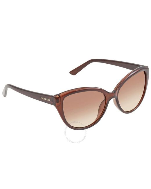 Calvin Klein Brown Gradient Cat Eye Sunglasses Ck19536s 210 55