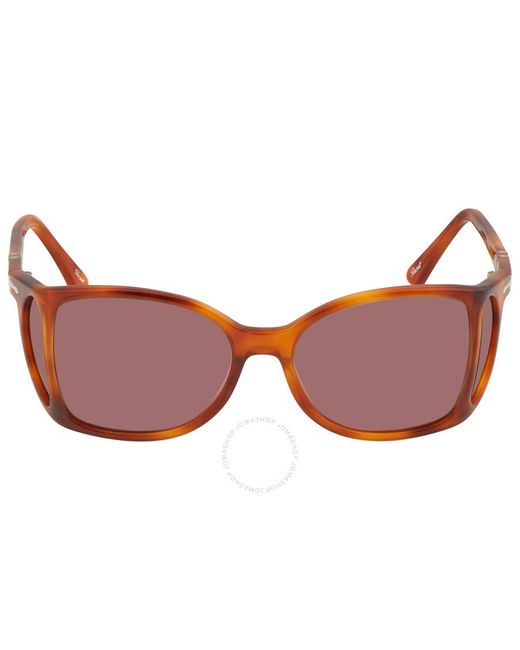 Persol Brown Violet Wrap Unisex Sunglasses  96/4r 54