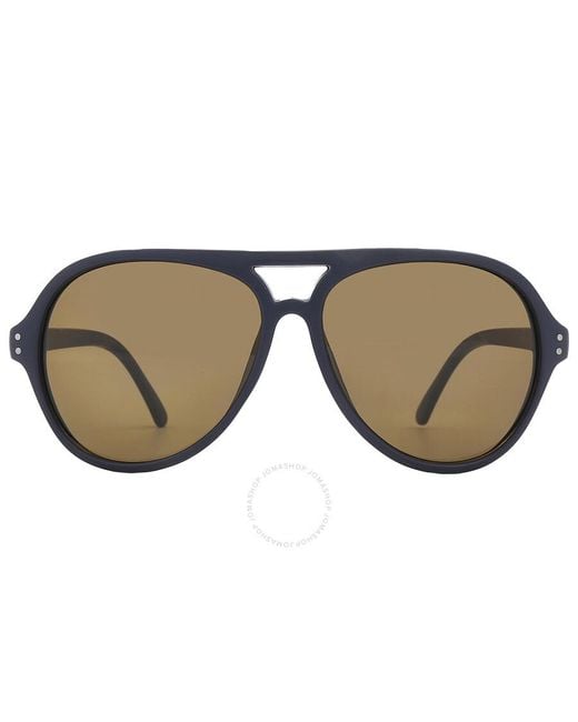 Calvin Klein Brown Pilot Sunglasses Ck19532s 410 58 for men