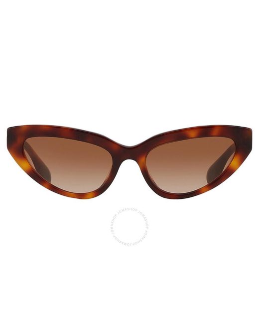 Burberry Brown Gradient Cat Eye Sunglasses Be4373u 331613 54