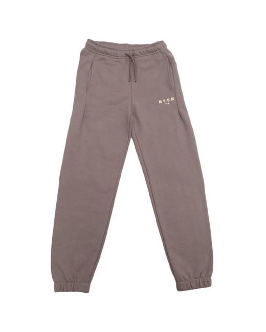 MSGM Gray Logo Print Cotton Sweat Pants for men