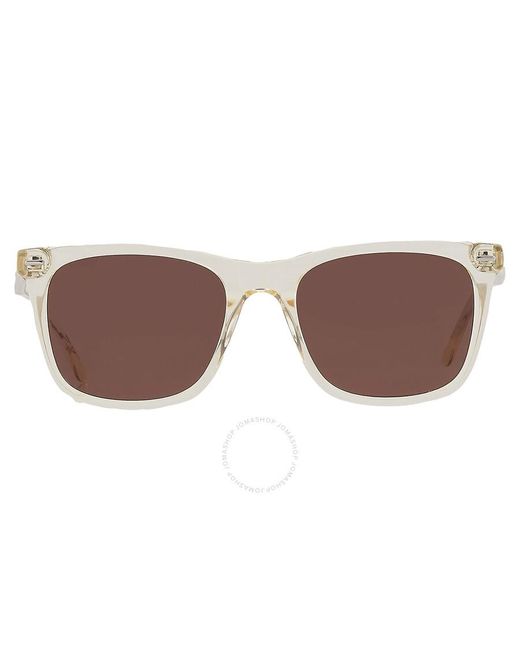 Calvin Klein Brown Square Sunglasses Ck21507s 740 53