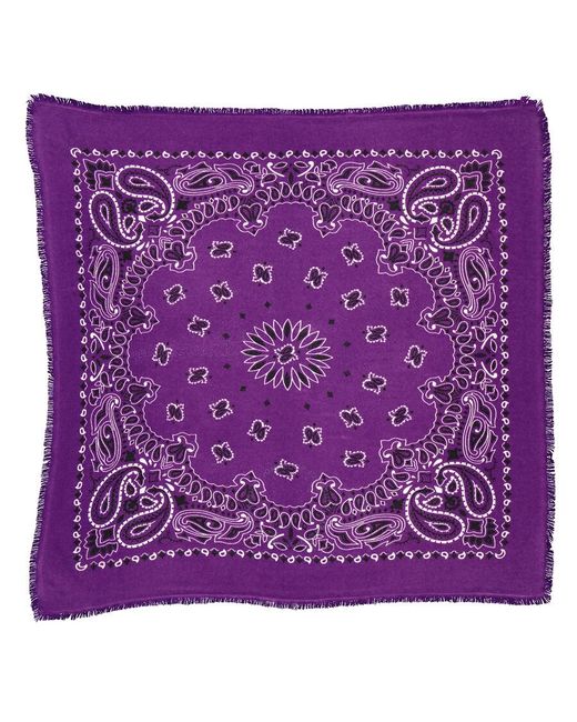 Kujten Purple Ladies Hachiko Printed Cashmere Scarf