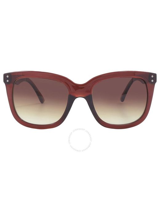 Calvin Klein Brown Gradient Square Sunglasses Ck22550s 210 53