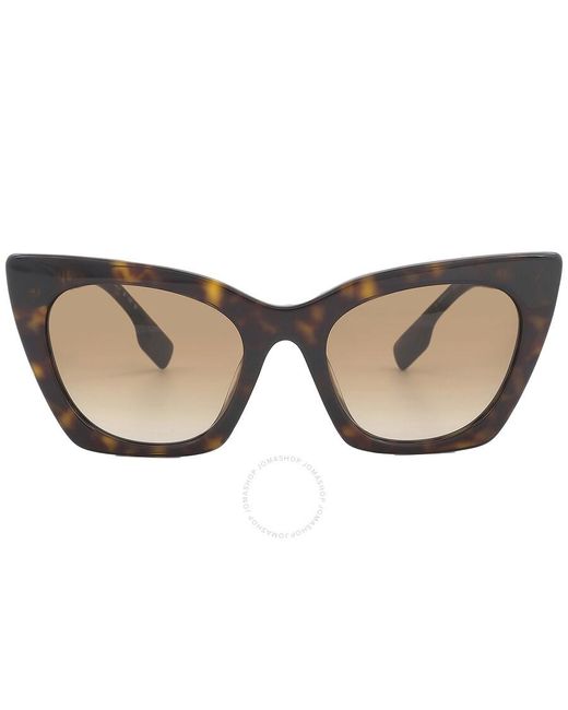 Burberry Marianne Brown Gradient Cat Eye Sunglasses Be4372u 300213 52