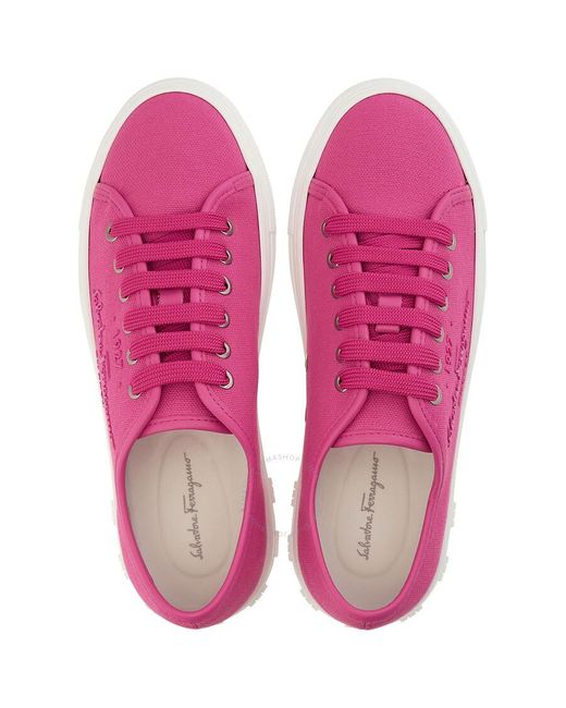 Ferragamo Pink Salvatore Hot Mediterr Low Cut Sneakers