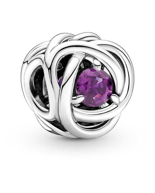 Pandora Metallic Symbols Ladies Sterling February Eternity Circle Charm